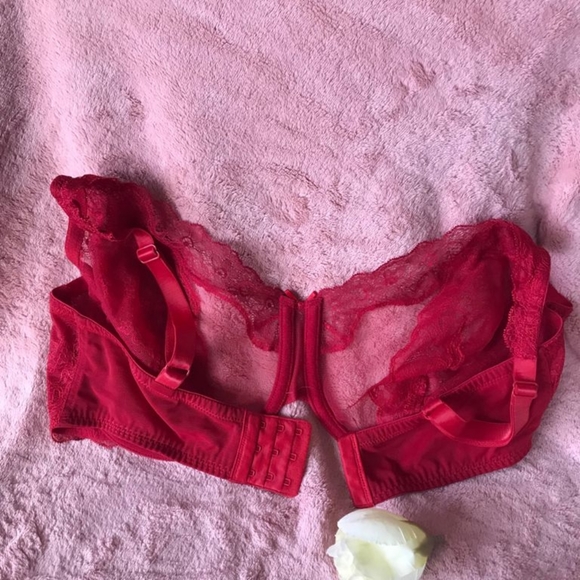 Divine Full Coverage lace Bra - Picture 6 of 12